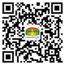 官方公眾號 官方公眾號